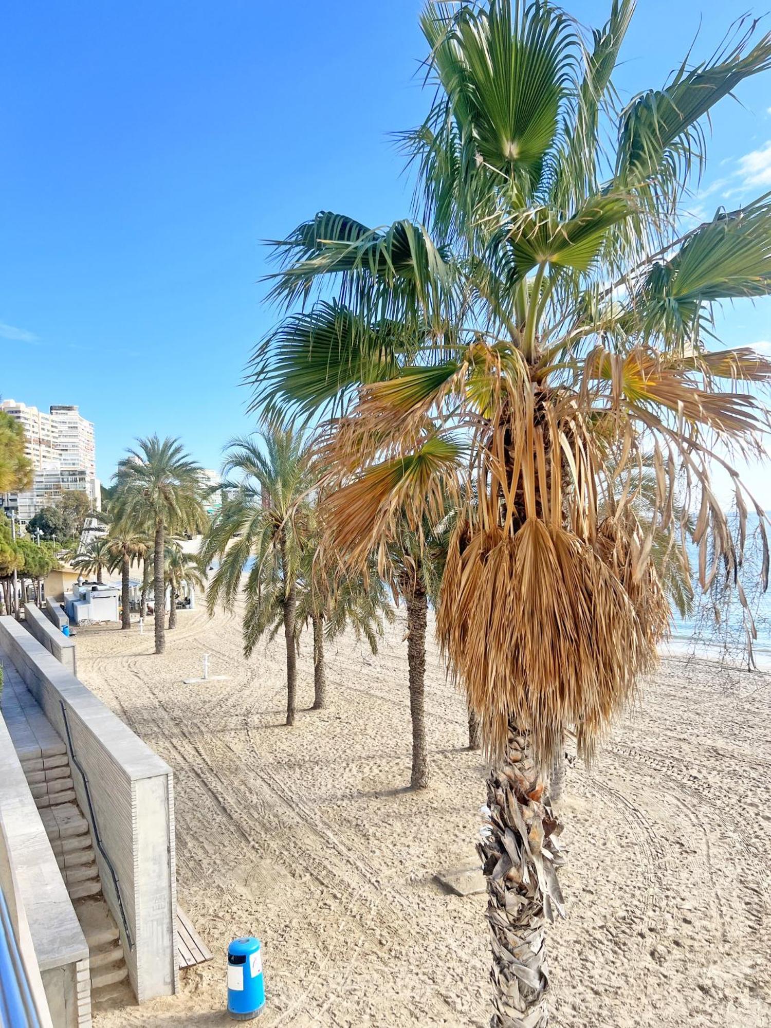 A 100M De La Playa. 2 Hab. A/C Apartment Alicante Exterior foto